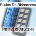 Pilules De Rhinocéros 34